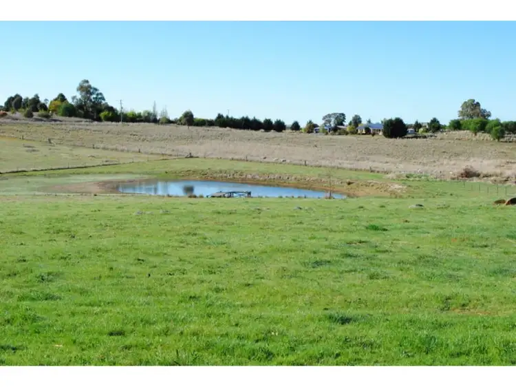Third view of Homely land listing, 269 Forest Reefs Road, Millthorpe NSW 2798