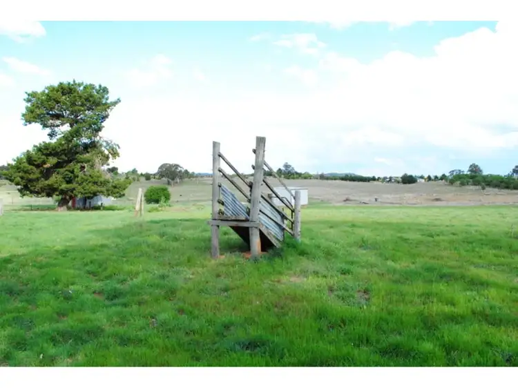 Fifth view of Homely land listing, 269 Forest Reefs Road, Millthorpe NSW 2798