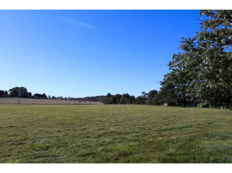 Sixth view of Homely land listing, 269 Forest Reefs Road, Millthorpe NSW 2798