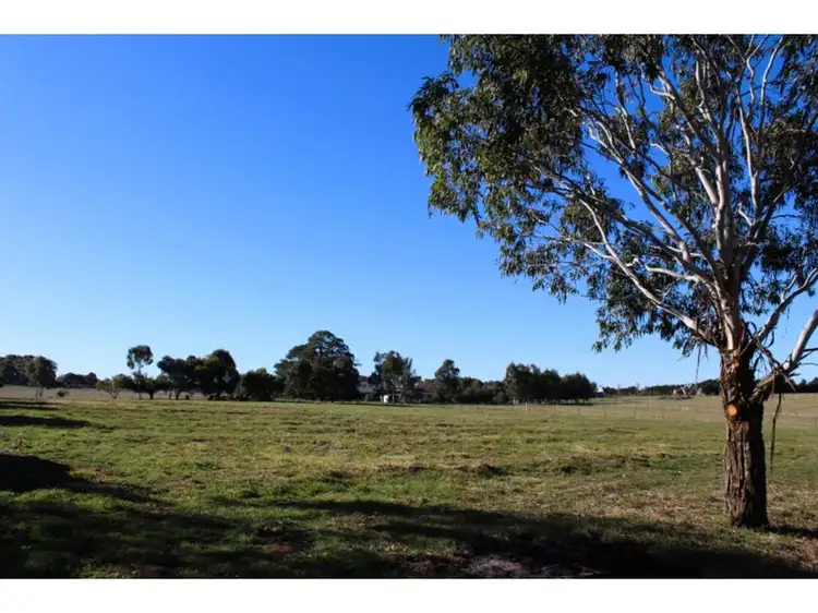 Seventh view of Homely land listing, 269 Forest Reefs Road, Millthorpe NSW 2798