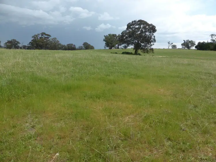 Main view of Homely land listing, LOT 8 Amaroo Road, Borenore NSW 2800