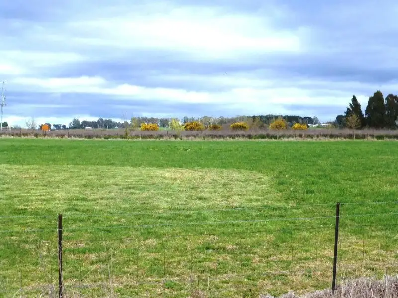 Main view of Homely land listing, Lot 8102, 694 Spring Terrace Road, Forest Reefs NSW 2798