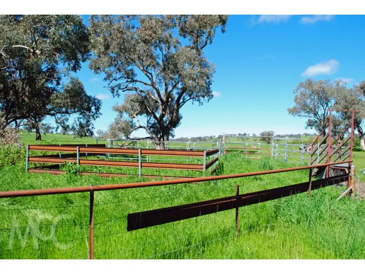 Second view of Homely land listing, LOT 1 & 4 Mouse Hole Lane, Boree NSW 2800