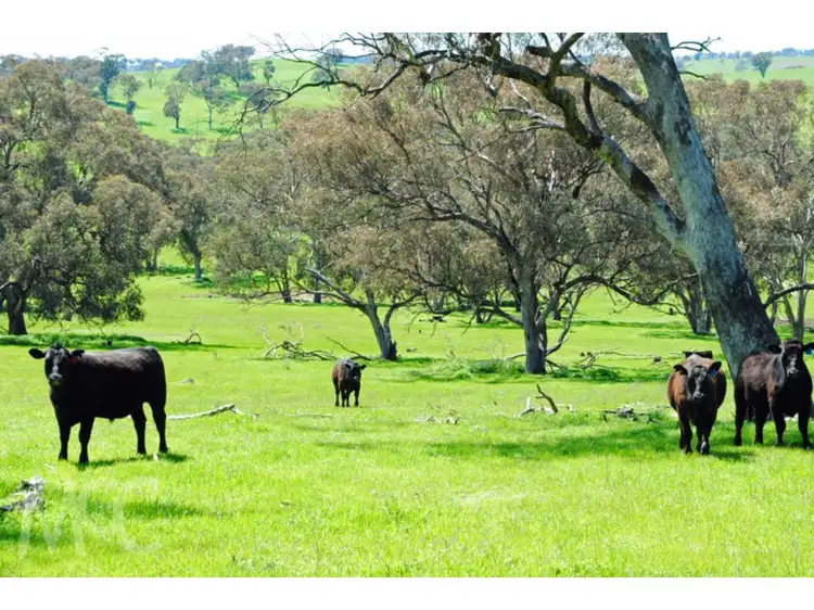 Third view of Homely land listing, LOT 1 & 4 Mouse Hole Lane, Boree NSW 2800