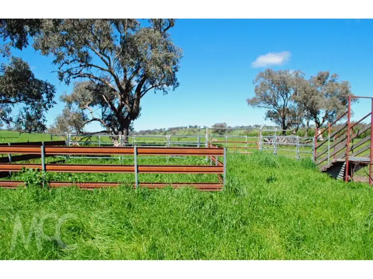 Fifth view of Homely land listing, LOT 1 & 4 Mouse Hole Lane, Boree NSW 2800