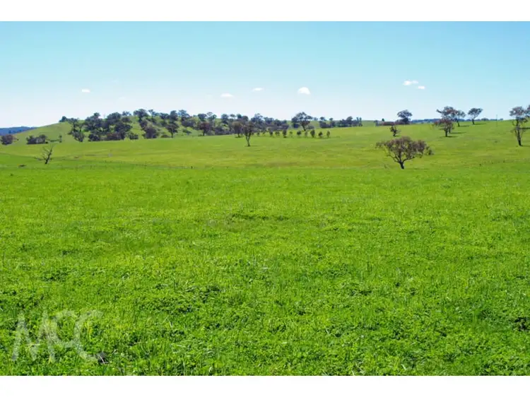 Sixth view of Homely land listing, LOT 1 & 4 Mouse Hole Lane, Boree NSW 2800