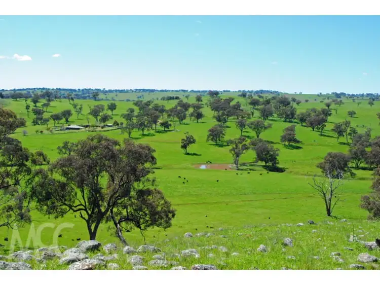 Seventh view of Homely land listing, LOT 1 & 4 Mouse Hole Lane, Boree NSW 2800