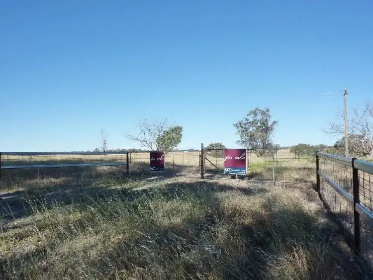 Lot 4, 161 Whiteleys Road, Molong NSW 2866
