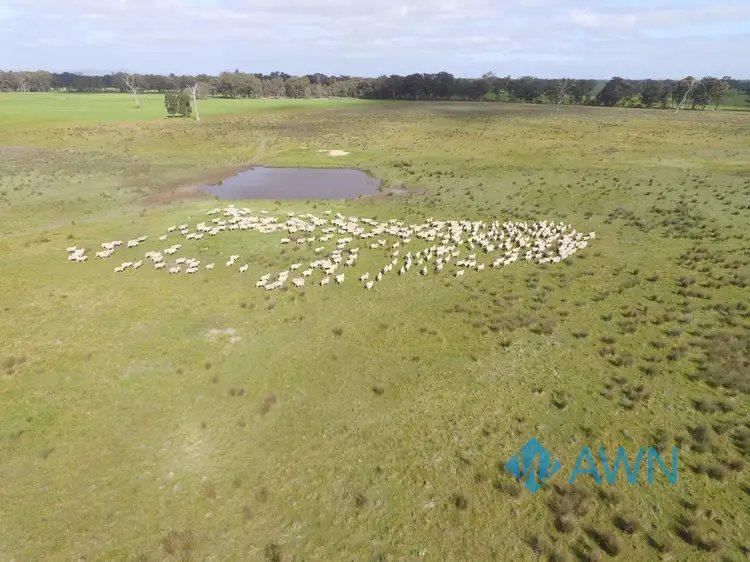 Third view of Homely rural property listing, 1 Stubbs Road, Pranjip VIC 3666