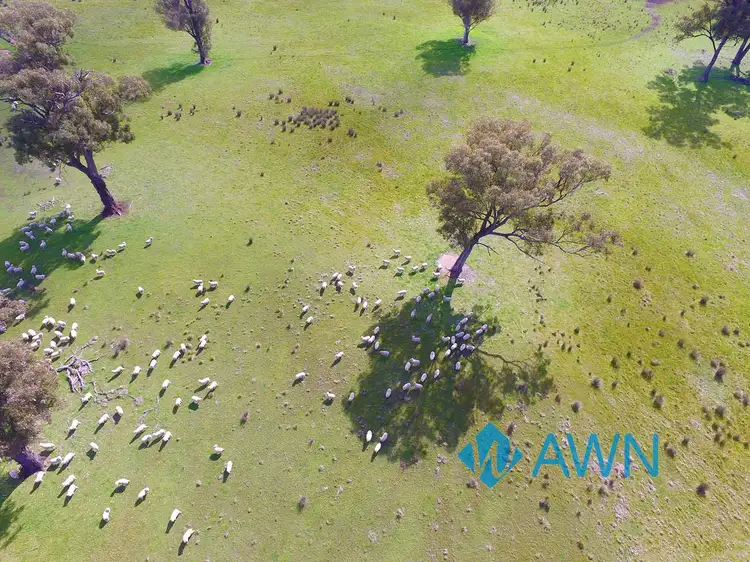 Seventh view of Homely rural property listing, 1 Stubbs Road, Pranjip VIC 3666