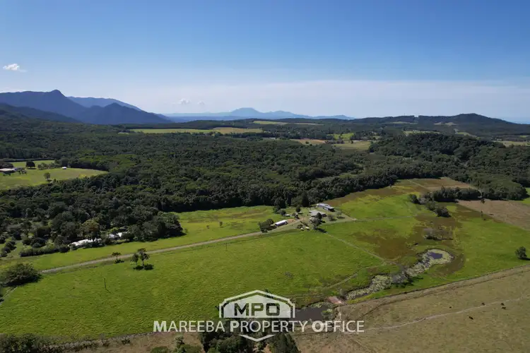 Third view of Homely rural property listing, 195 Clacherty Road, Julatten QLD 4871