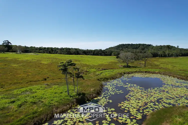 Fourth view of Homely rural property listing, 195 Clacherty Road, Julatten QLD 4871