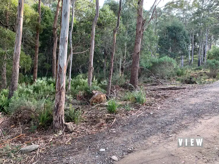 Main view of Homely land listing, 71 Gillies Road, St Marys TAS 7215