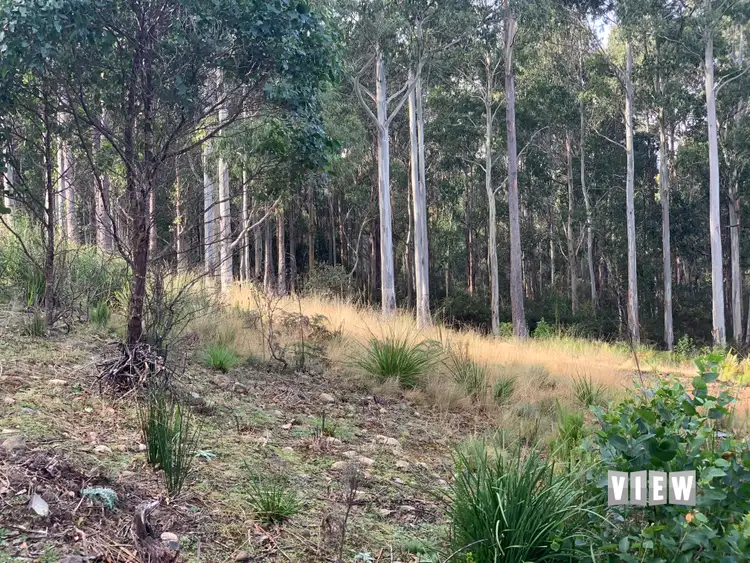 Third view of Homely land listing, 71 Gillies Road, St Marys TAS 7215