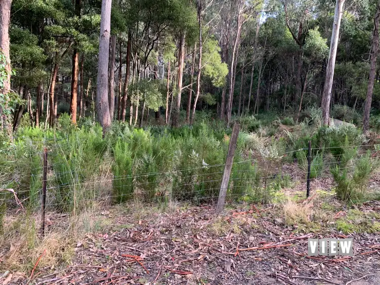 Fifth view of Homely land listing, 71 Gillies Road, St Marys TAS 7215