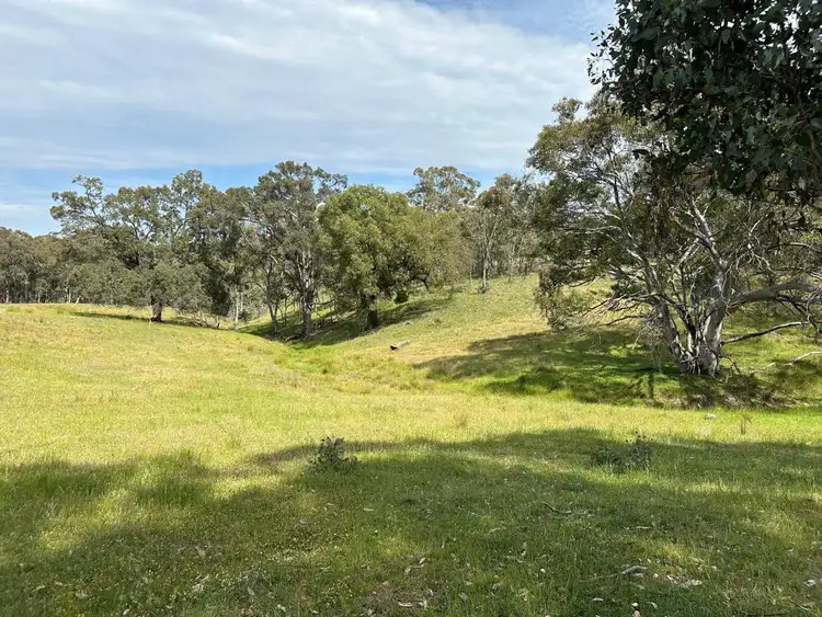 Fourth view of Homely rural property listing, 1830 Mount Hope Road, Coolah NSW 2843