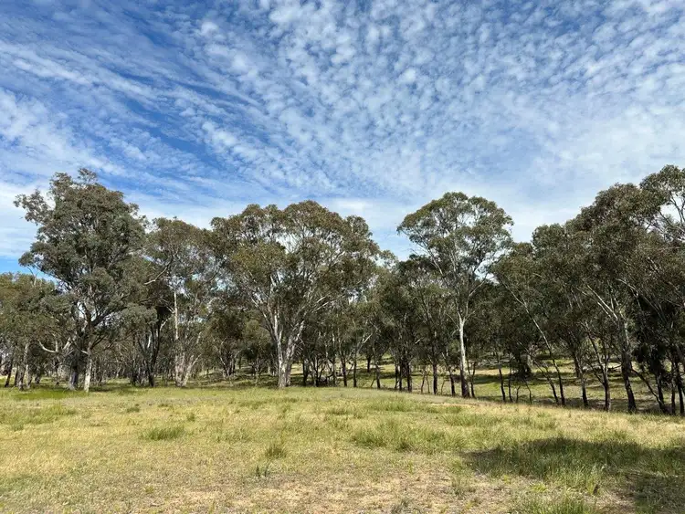 Fifth view of Homely rural property listing, 1830 Mount Hope Road, Coolah NSW 2843