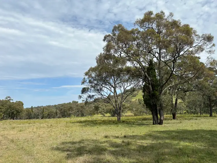 Sixth view of Homely rural property listing, 1830 Mount Hope Road, Coolah NSW 2843