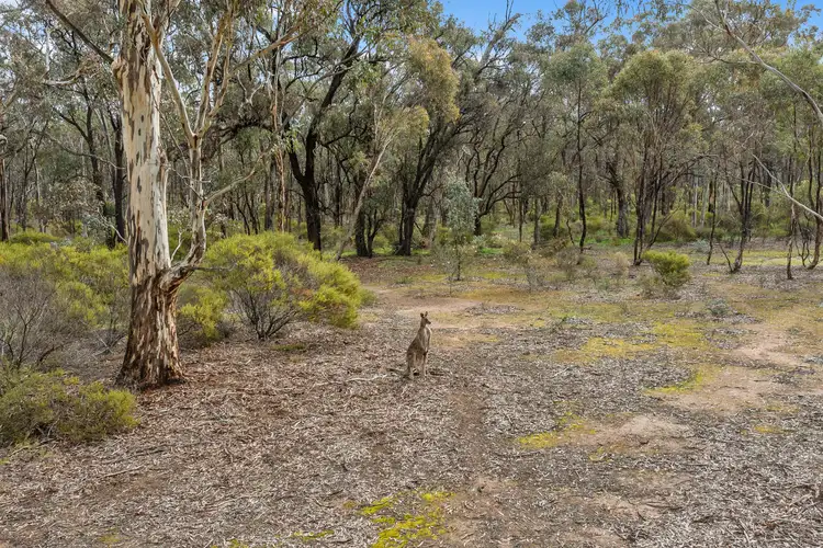 Fifth view of Homely rural property listing, LOT 24 HEATHCOTE-NAGAMBIE ROAD, Mitchellstown VIC 3608
