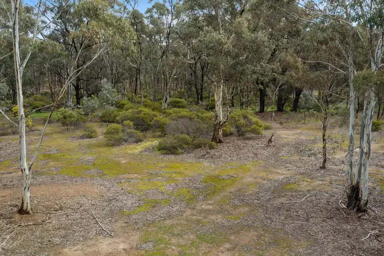 Sixth view of Homely rural property listing, LOT 24 HEATHCOTE-NAGAMBIE ROAD, Mitchellstown VIC 3608