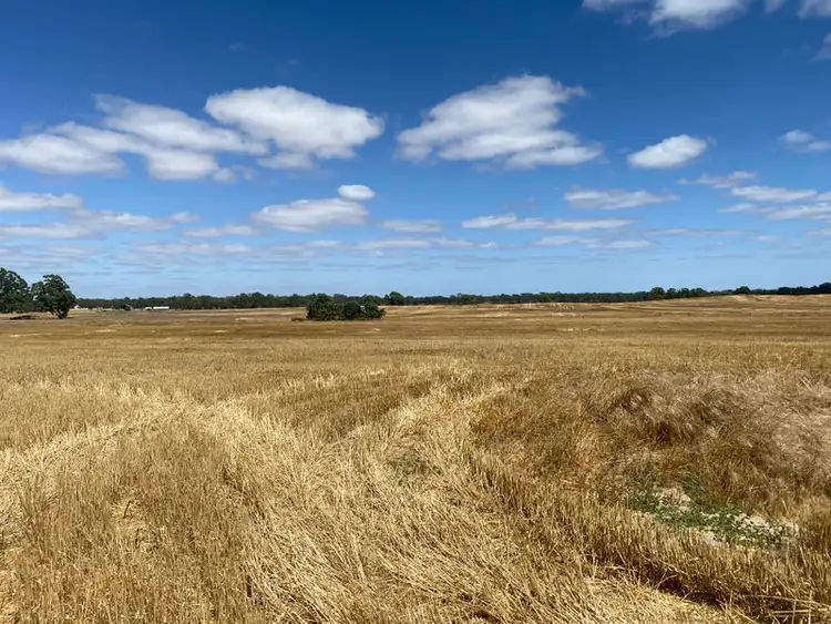 494 Ozenkadnook Mortat Road, Ozenkadnook VIC 3413