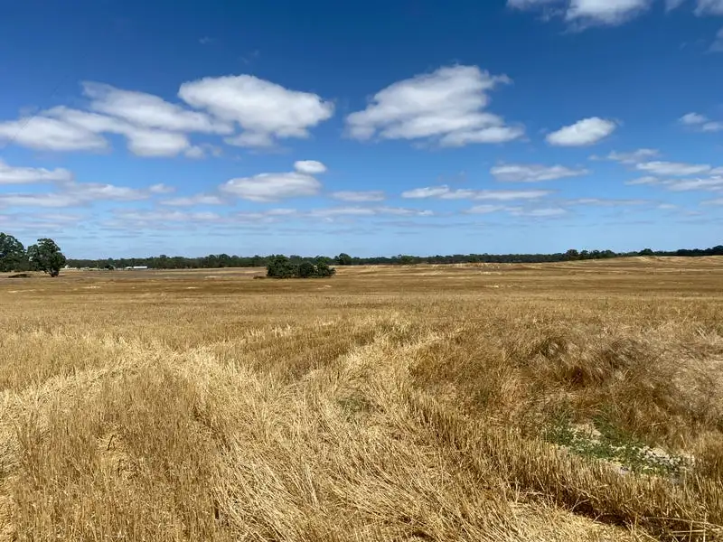 Main view of Homely rural property listing, 494 Ozenkadnook Mortat Road, Ozenkadnook VIC 3413