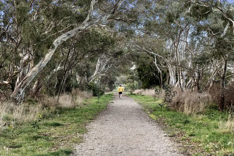 Fifth view of Homely house listing, 8 Pascal Crescent, Mount Duneed VIC 3217