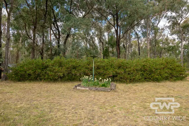 Fifth view of Homely rural property listing, 137 Aberdeen Road, Gilgai NSW 2360