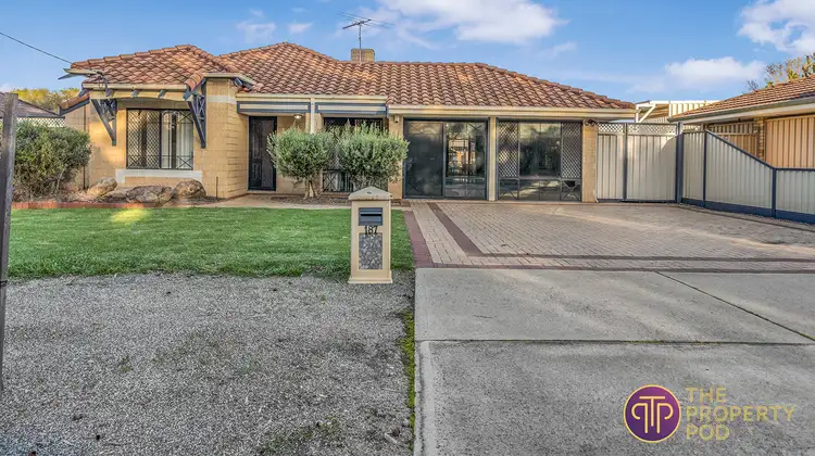 Main view of Homely house listing, 187 Seville Drive, Seville Grove WA 6112