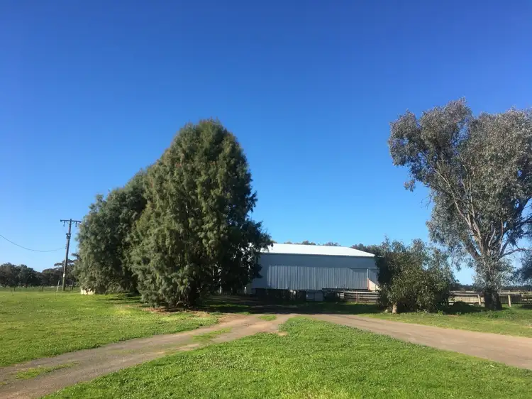 Third view of Homely rural property listing, 446 Calivil Mail Road, Calivil VIC 3573