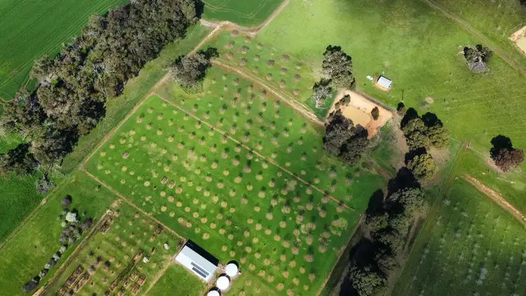 Seventh view of Homely rural property listing, 139 Wilson Road, Mount Barker WA 6324