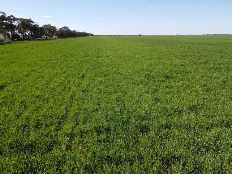 Second view of Homely rural property listing, Meran Road, Meering West VIC 3579