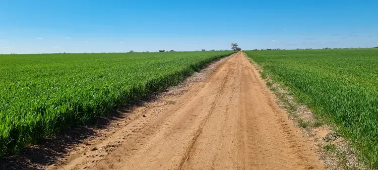 Third view of Homely rural property listing, Meran Road, Meering West VIC 3579
