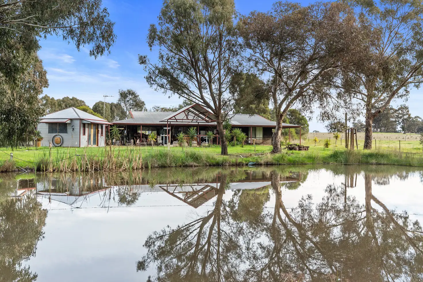 Main view of Homely house listing, 31 Backwater Ct, Kirwans Bridge VIC 3608