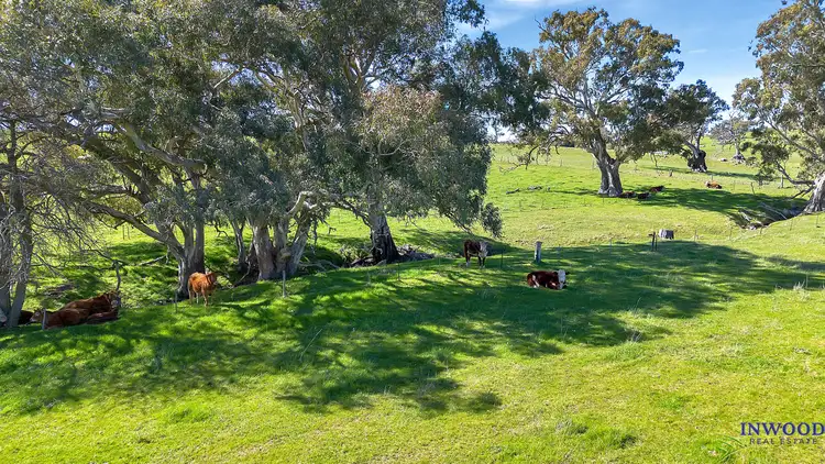 Fifth view of Homely land listing, LOT 462 EDEN VALLEY ROAD, Flaxman Valley SA 5235