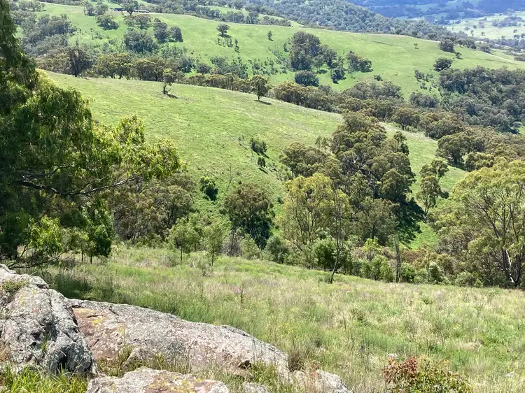 Main view of Homely rural property listing, 1861 Pembroke Road, Cassilis NSW 2329