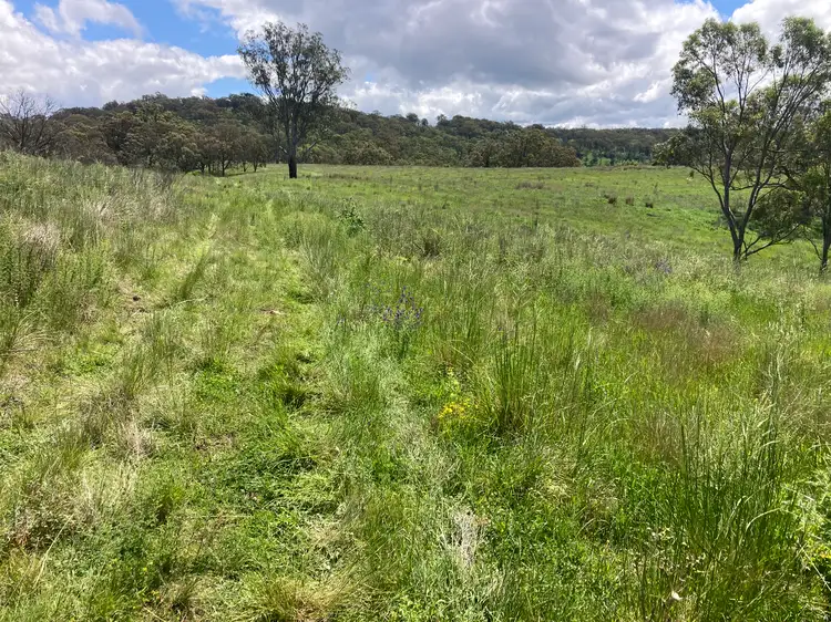 Second view of Homely rural property listing, 1861 Pembroke Road, Cassilis NSW 2329