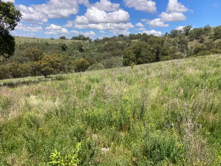 Third view of Homely rural property listing, 1861 Pembroke Road, Cassilis NSW 2329