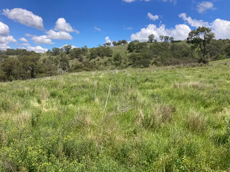 Fourth view of Homely rural property listing, 1861 Pembroke Road, Cassilis NSW 2329