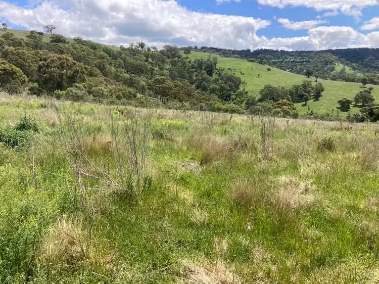 Sixth view of Homely rural property listing, 1861 Pembroke Road, Cassilis NSW 2329