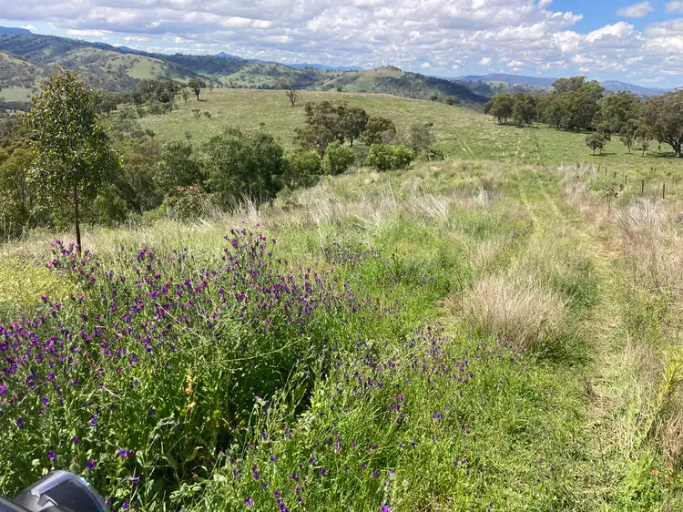 Seventh view of Homely rural property listing, 1861 Pembroke Road, Cassilis NSW 2329