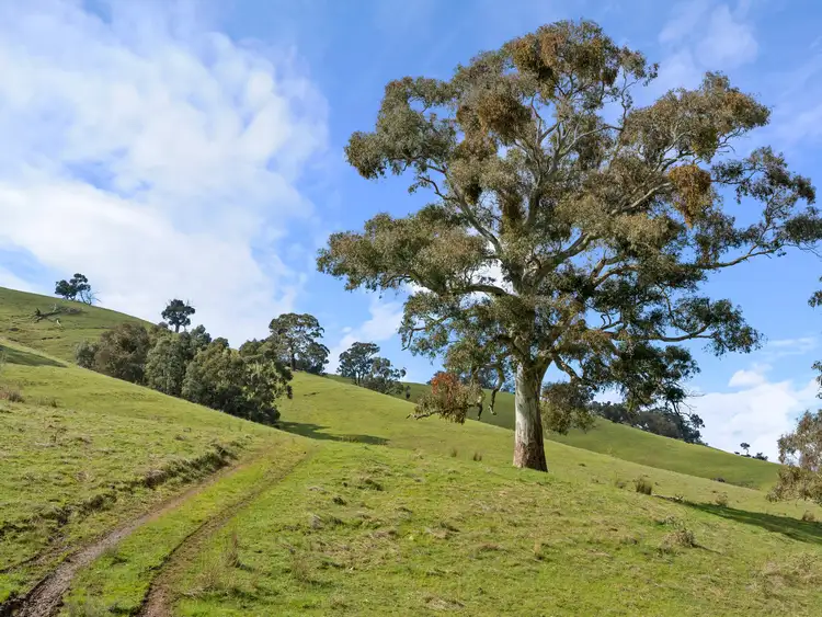 Sixth view of Homely rural property listing, 358 Parsons Road, Fawcett VIC 3714