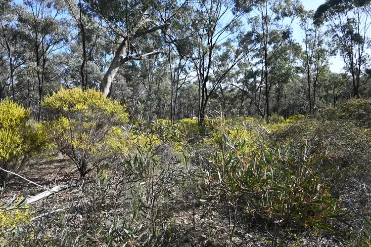 Second view of Homely land listing, LOT 2 Wet Lane, Inglewood VIC 3517