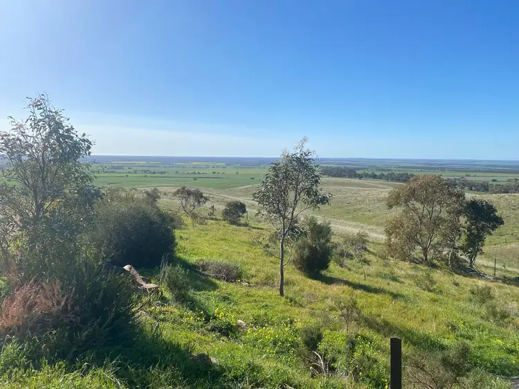 Main view of Homely rural property listing, 1741 Three Chain Road, Cambrai SA 5353