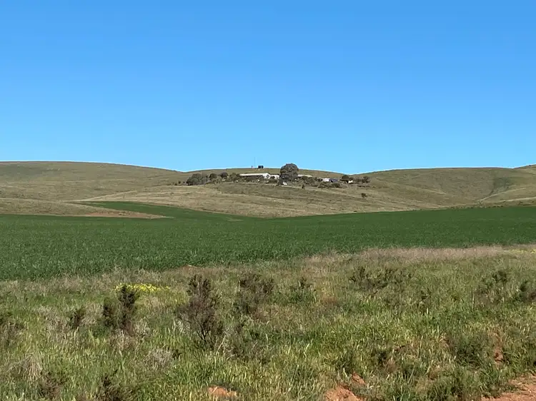 Seventh view of Homely rural property listing, 1741 Three Chain Road, Cambrai SA 5353