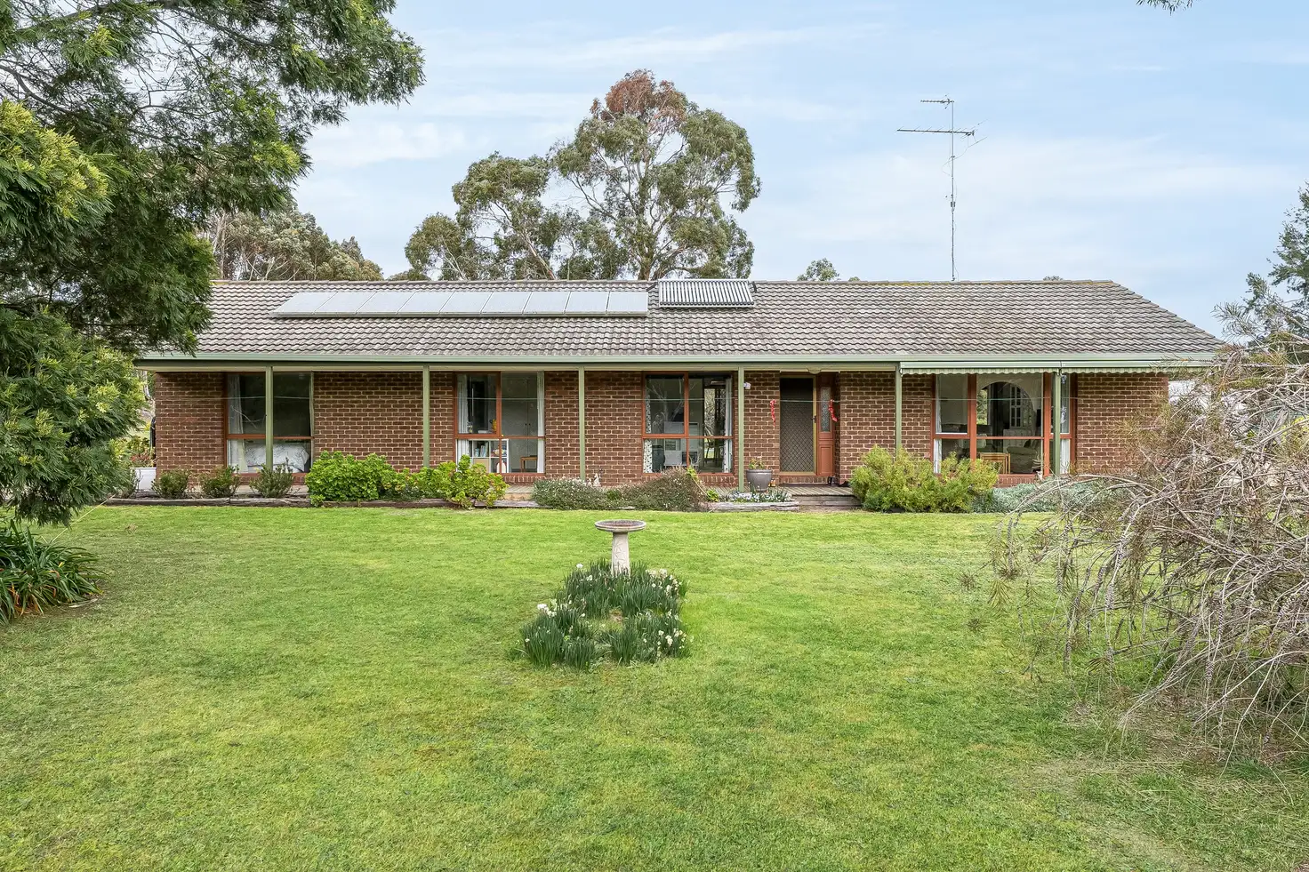 Main view of Homely house listing, 64 Sutherland Street, Teesdale VIC 3328