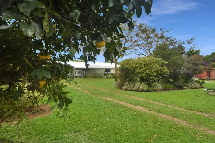 197 Midgenoo Road, Midgenoo QLD 4854