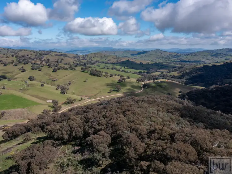 Sixth view of Homely rural property listing, Sirls Road, Bethanga VIC 3691