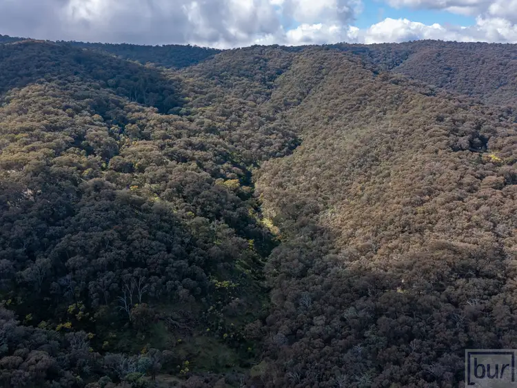 Seventh view of Homely rural property listing, Sirls Road, Bethanga VIC 3691