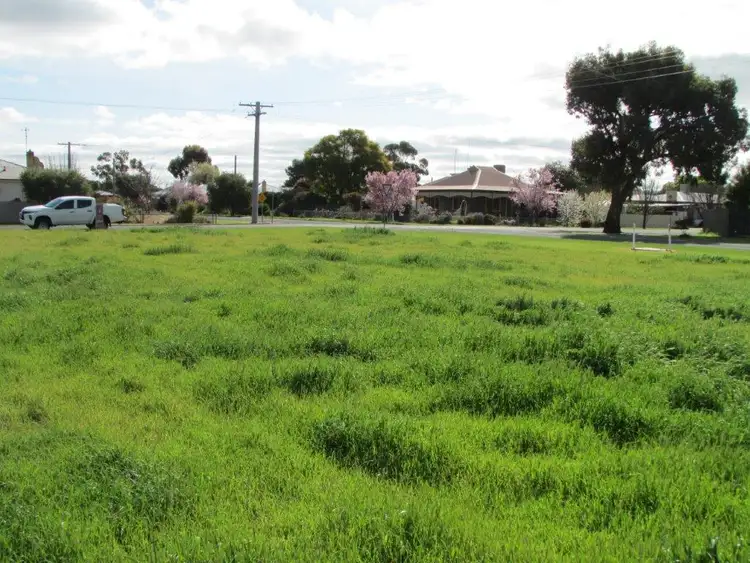 Seventh view of Homely land listing, 38 Dempsey Street, Wycheproof VIC 3527